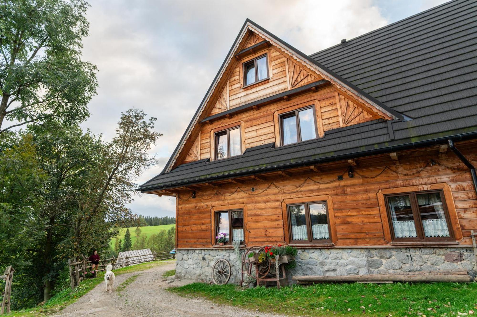 Apartament Ku Sośnie Bukowina Tatrzańska Zewnętrze zdjęcie